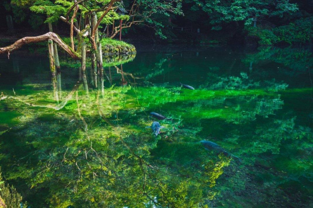 医学媒介生物实验室的建筑设计